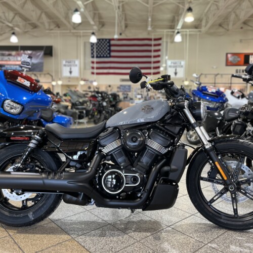 RH975 2026 Nightster® thumb 3