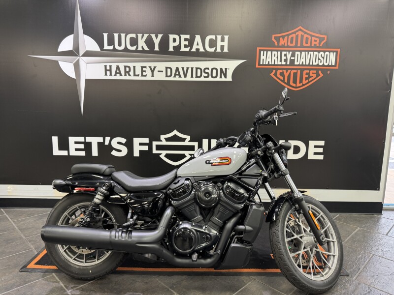 2025 Harley-Davidson® Nightster® Special Billiard Gray