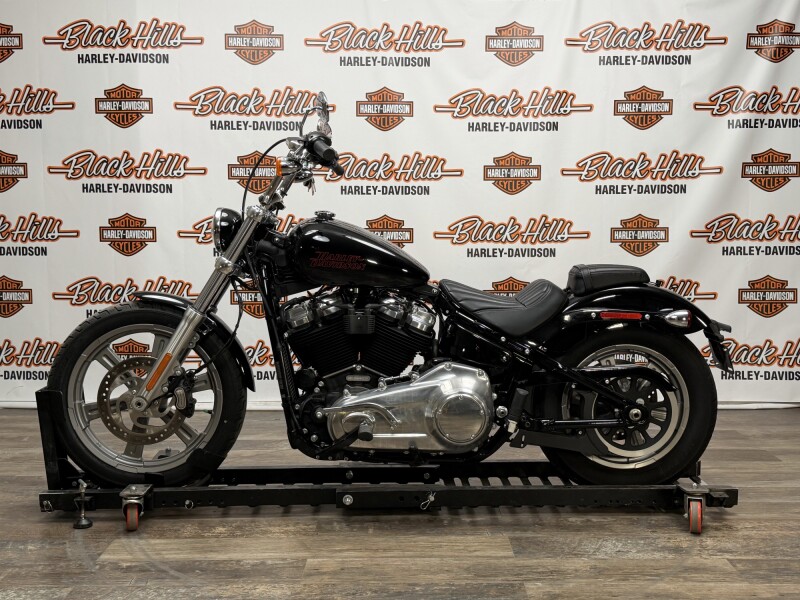 FXST 2023 Softail® Standard
