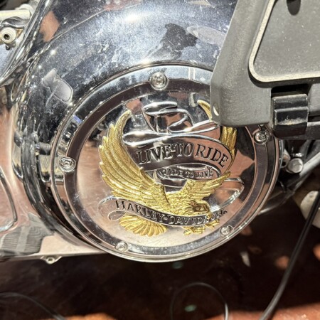 2016 Harley-Davidson® Tri Glide® Ultra thumb 3