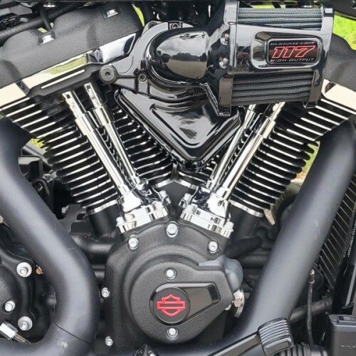 Harley-Davidson® Low Rider™ ST 2025 thumb 2