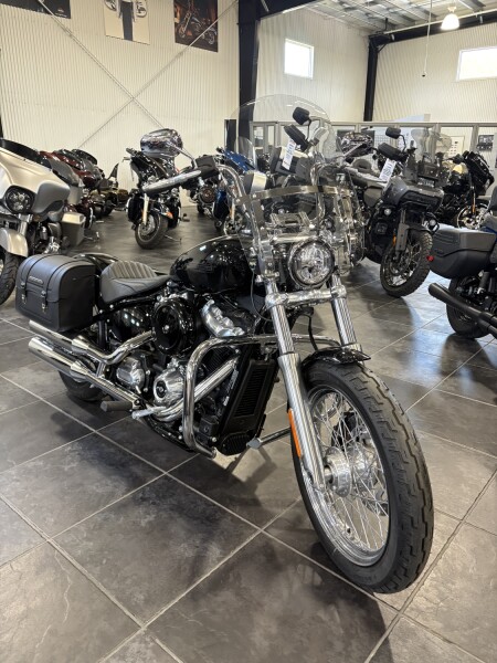 2020 Softail Standard