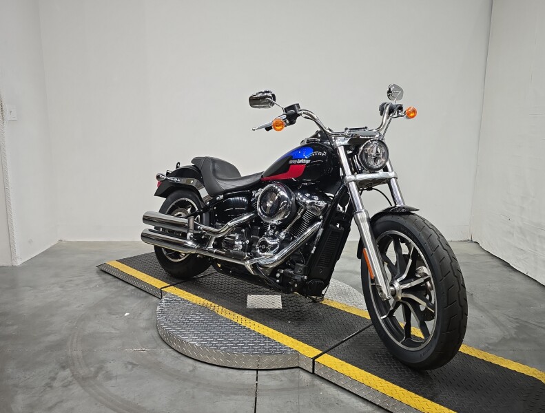 FXLR 2019 Low Rider®