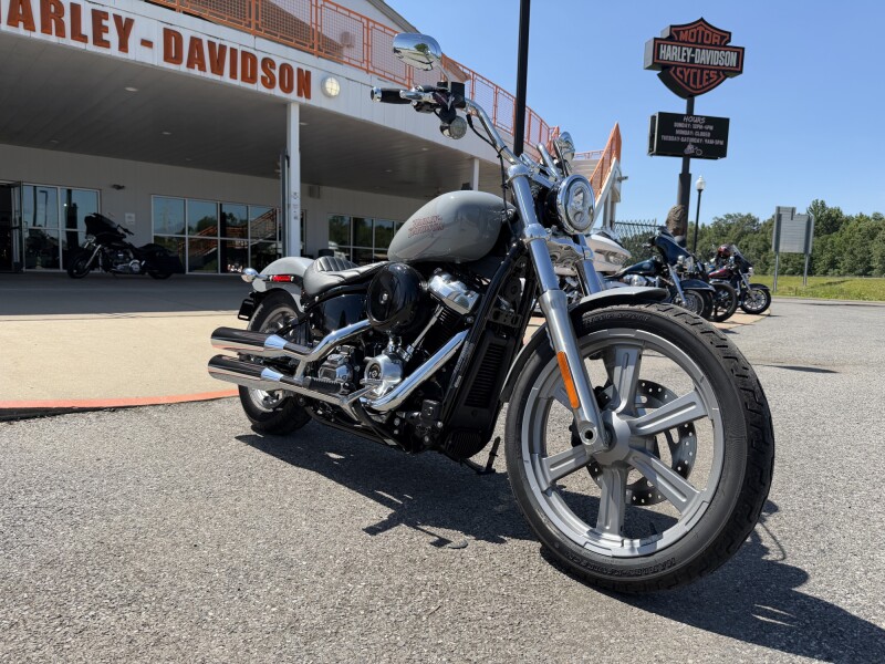 2024 Harley-Davidson® Softail® Standard Billiard Gray
