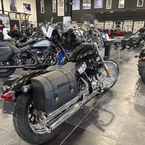 2020 Softail Standard thumb 0