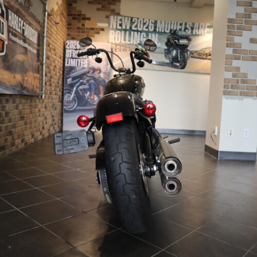 2020 Street Bob® (FXBB) thumb 3