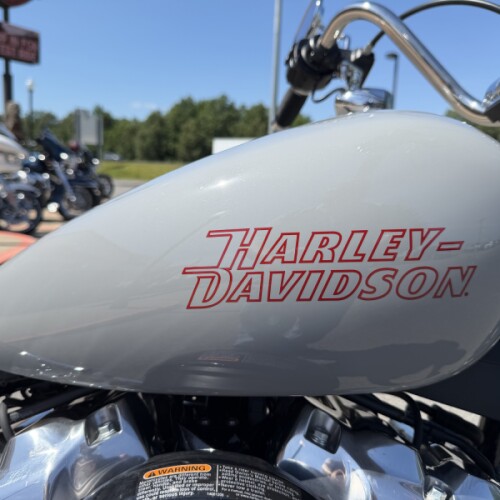 2024 Harley-Davidson® Softail® Standard Billiard Gray thumb 0