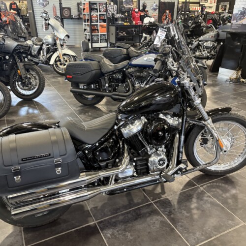 2020 Softail Standard thumb 1