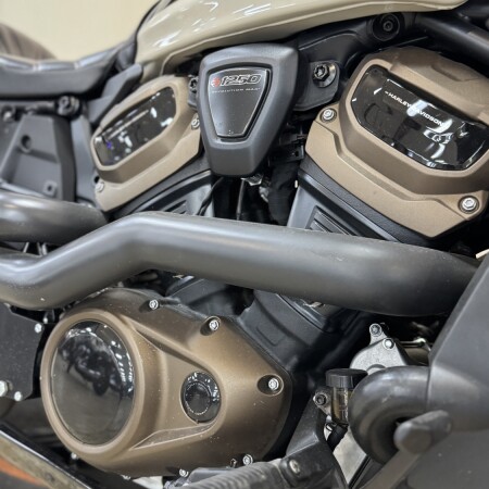 RH1250S 2022 Sportster® S thumb 3