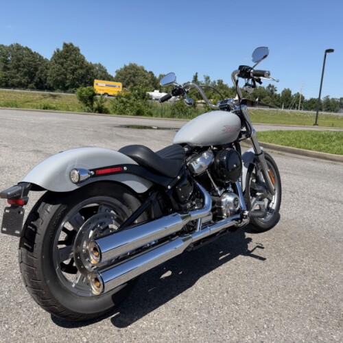 2024 Harley-Davidson® Softail® Standard Billiard Gray thumb 1