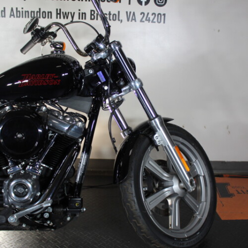 2023 Softail® Standard FXST  thumb 2