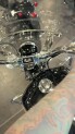 2020 Softail Standard