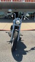 2024 Harley-Davidson® Softail® Standard Billiard Gray