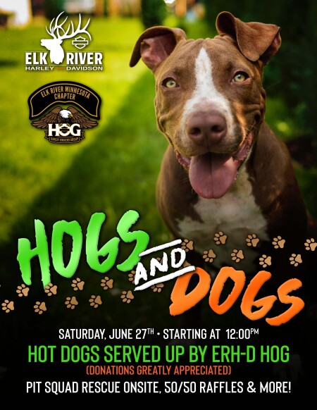HOGS & DOGS