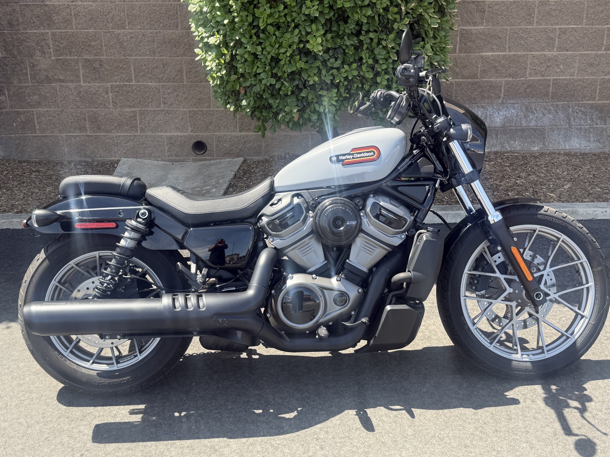 RH975S 2024 Nightster™ Special