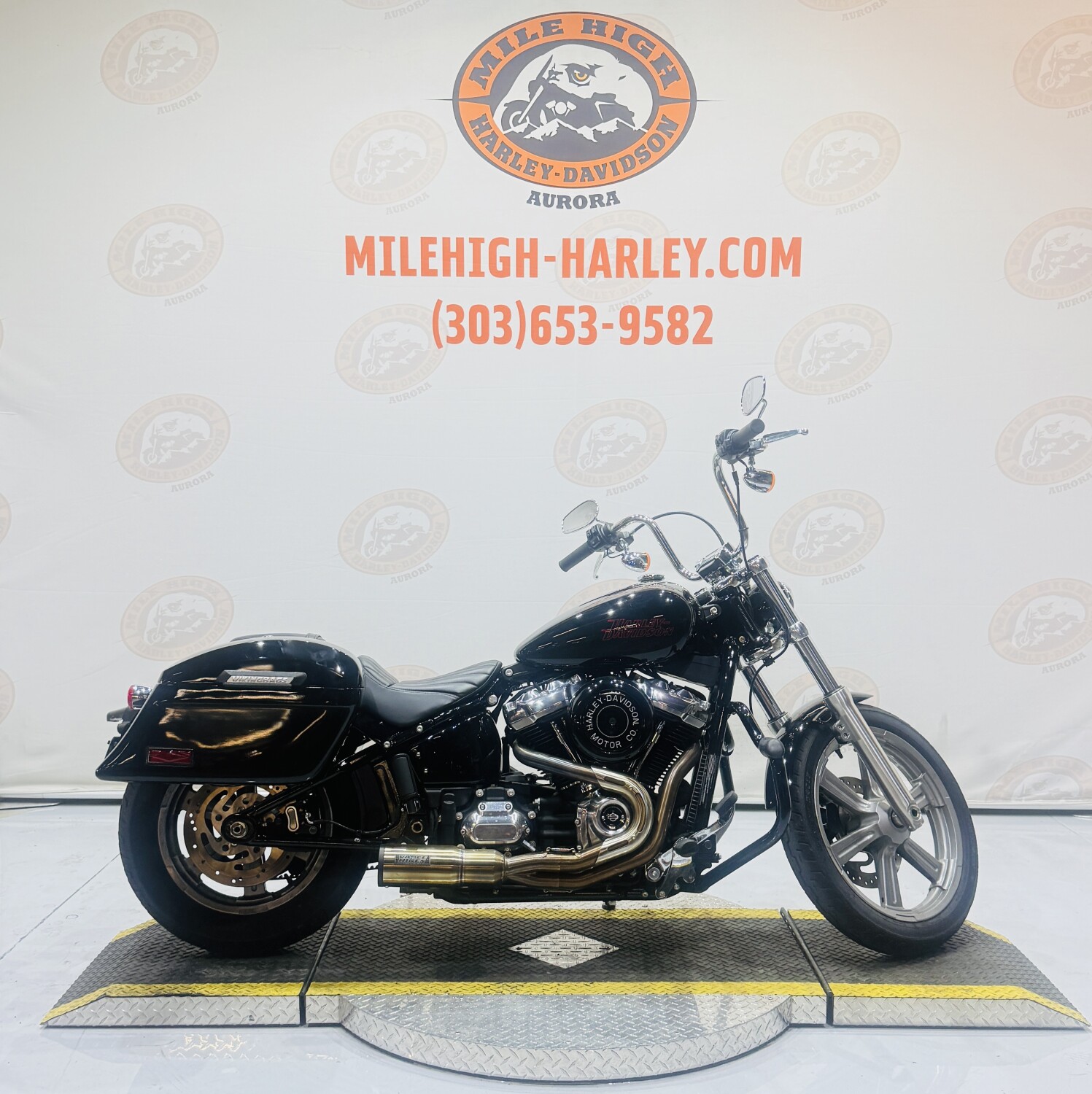 2024 Softail® Standard FXST