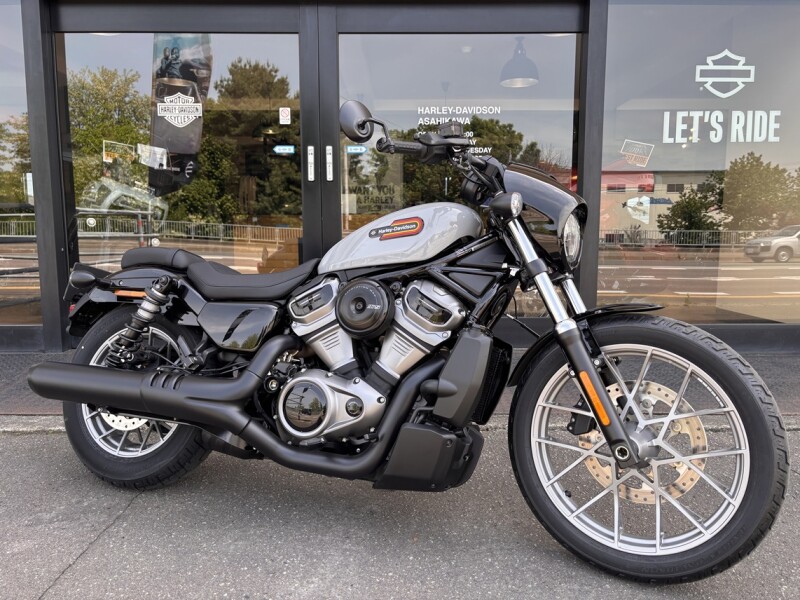 2024 Harley-Davidson® Nightster™ Special Billiard Gray