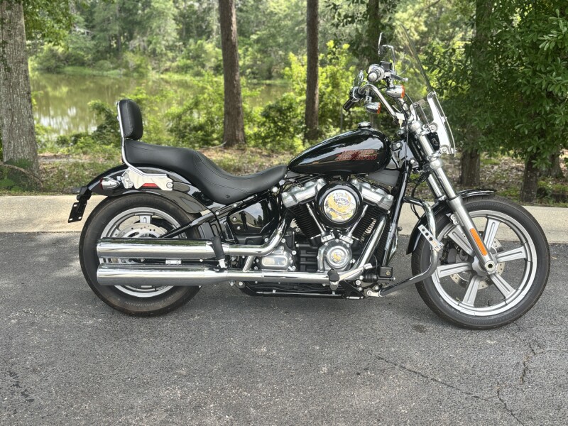 FXST 2023 Softail® Standard