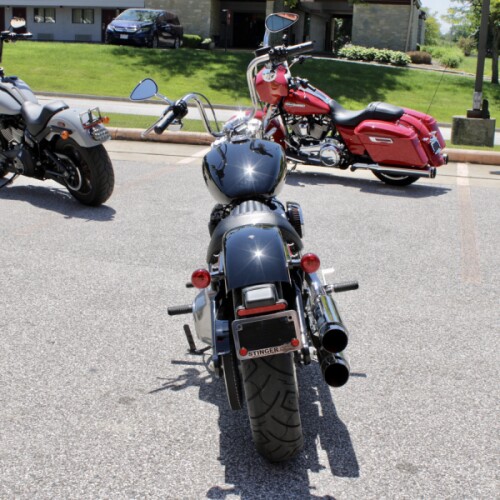 2021 Harley-Davidson Softail Standard Cruiser thumb 1