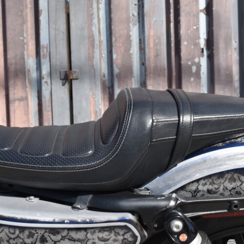 2019 Harley-Davidson® Roadster™ XL1200R thumb 1