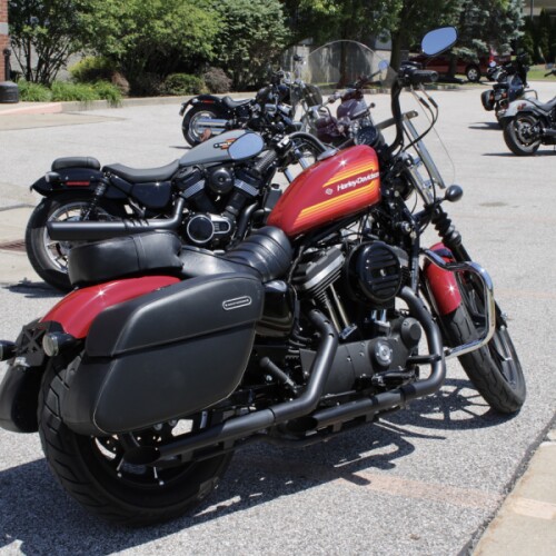 2019 Harley-Davidson Sportster Iron 883 XL 883N thumb 2