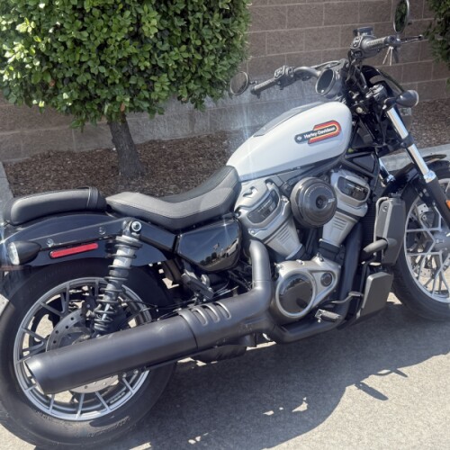 RH975S 2024 Nightster™ Special thumb 2