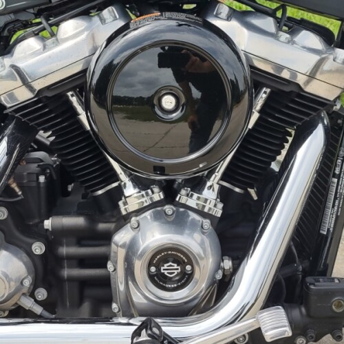 Harley-Davidson® Softail® Standard 2023 thumb 2