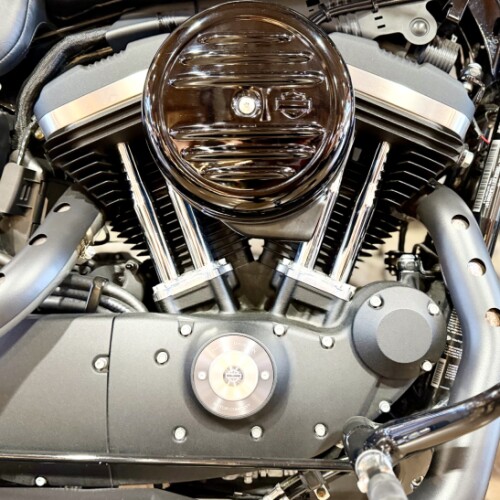 2020 XL883N - Iron 883 thumb 0