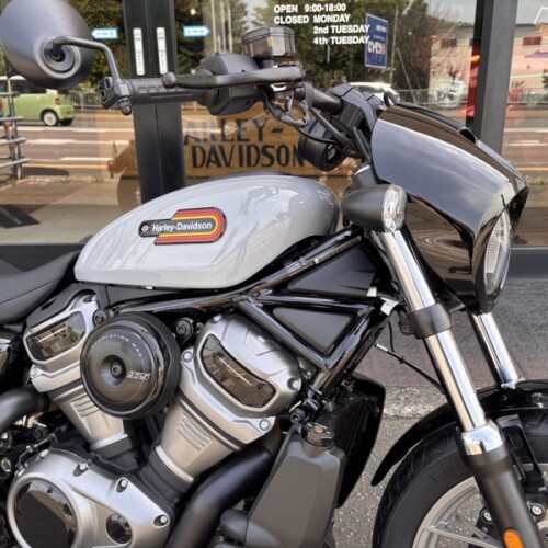 2024 Harley-Davidson® Nightster™ Special Billiard Gray thumb 3