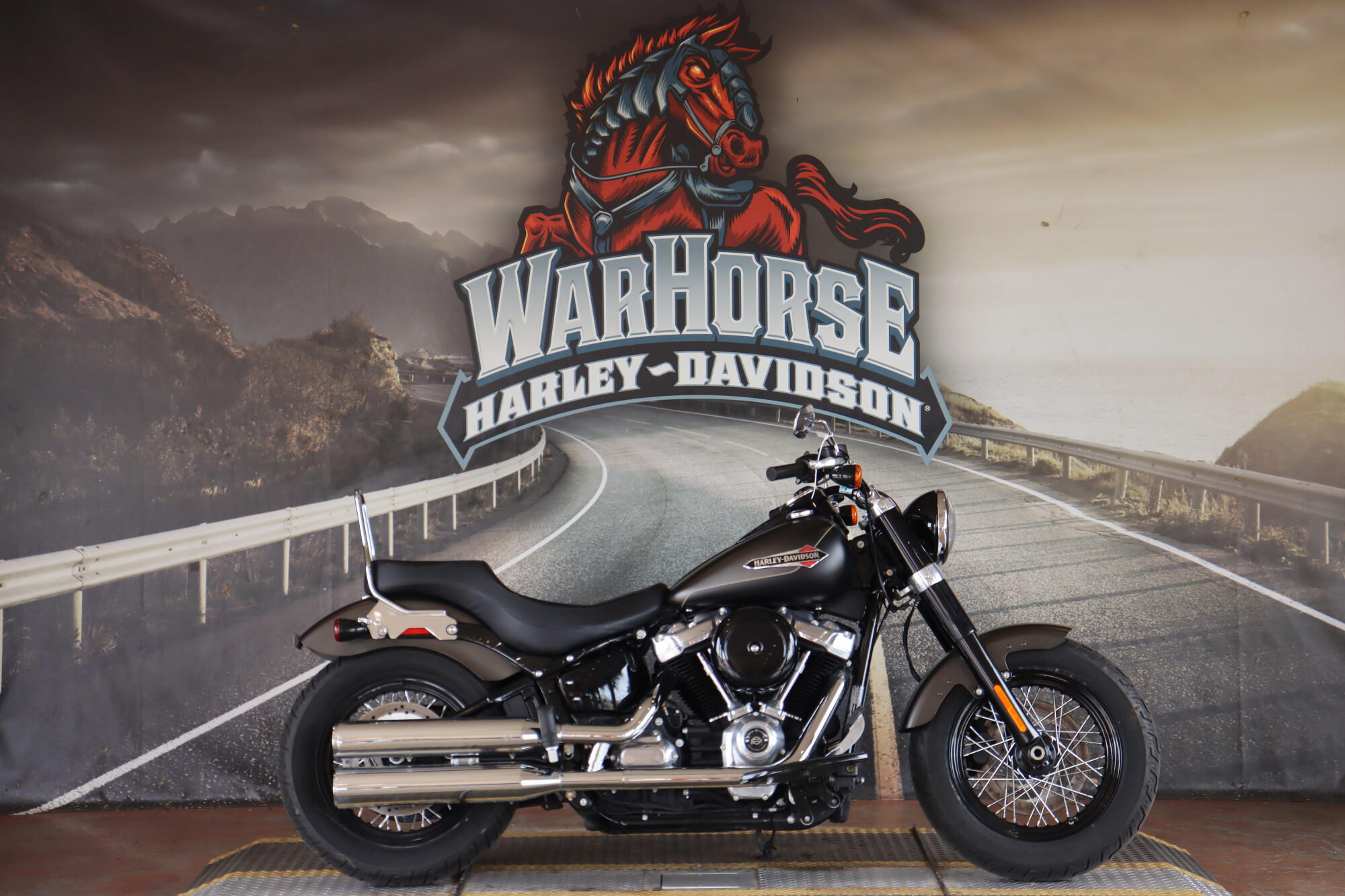 FLSL 2021 Softail Slim®