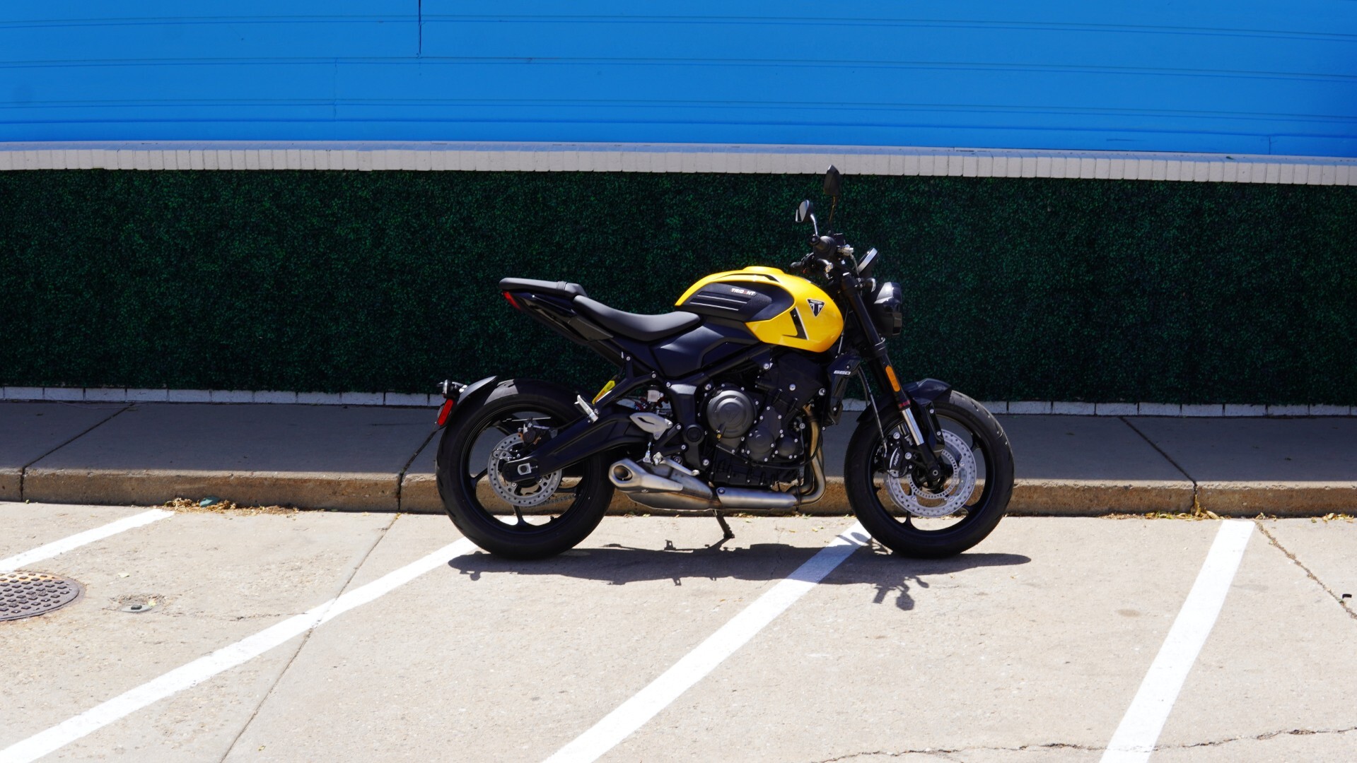 2026 Trident 660