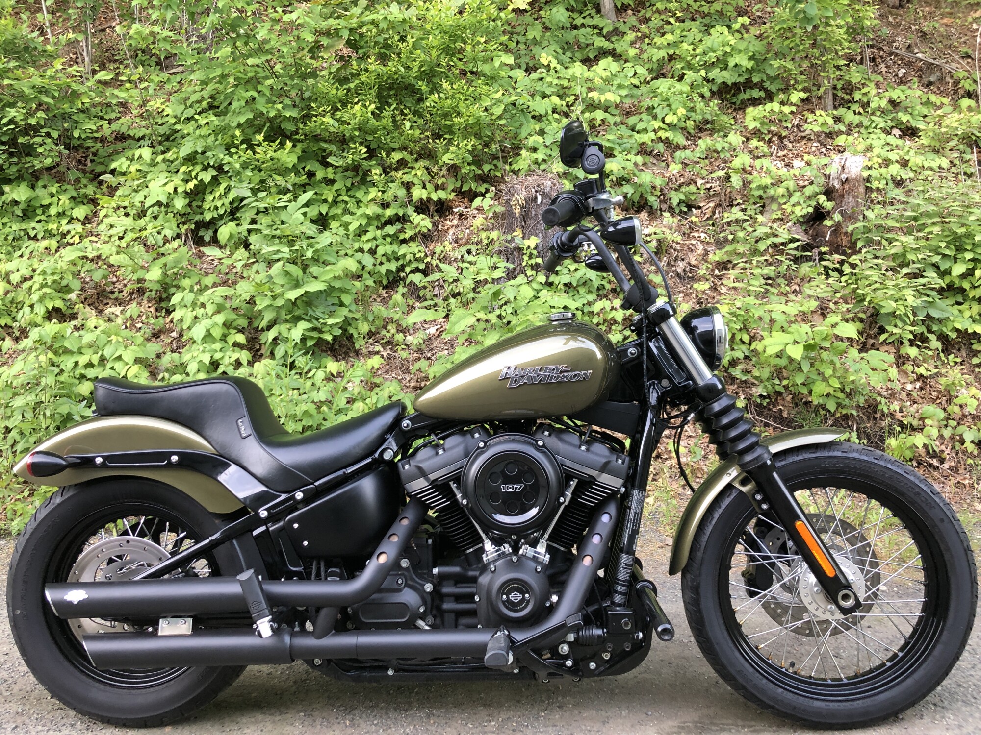 2018 Harley-Davidson® Street Bob® Olive Gold