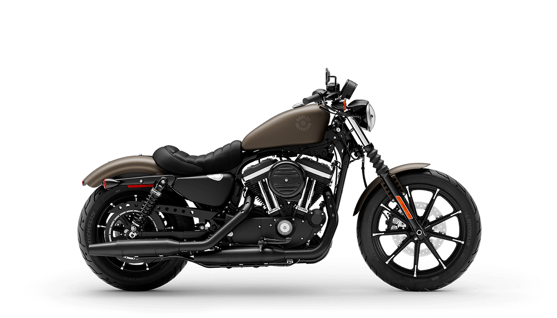 2021 Harley-Davidson® Iron 883™ River Rock Gray Denim