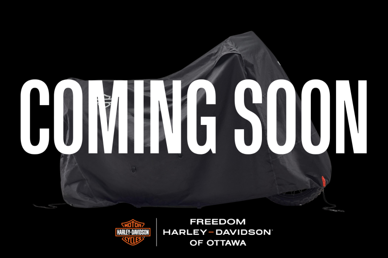 2014 Harley-Davidson® Fat Bob® Vivid Black