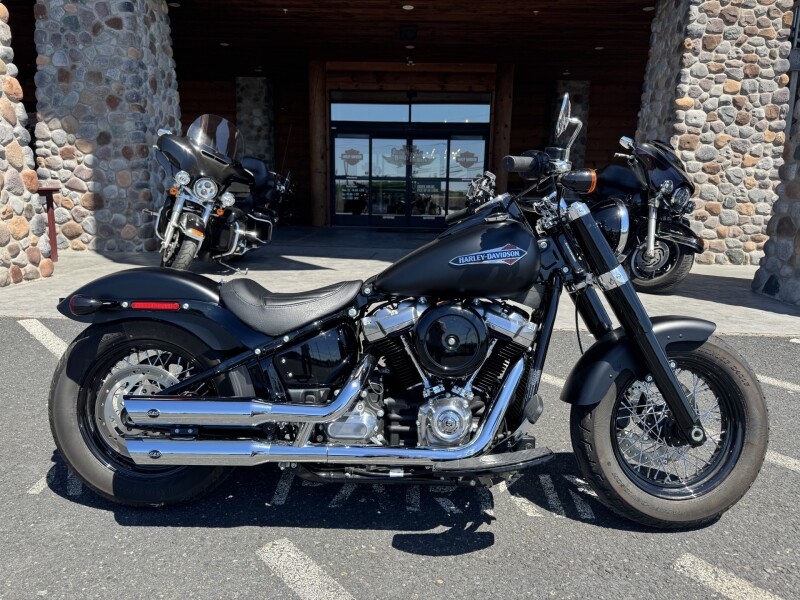 FLSL 2020 Softail Slim®