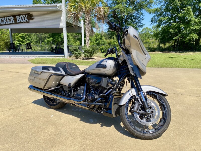 2023 Harley-Davidson CVO Street Glide Dark Platinum w/Pinstripe