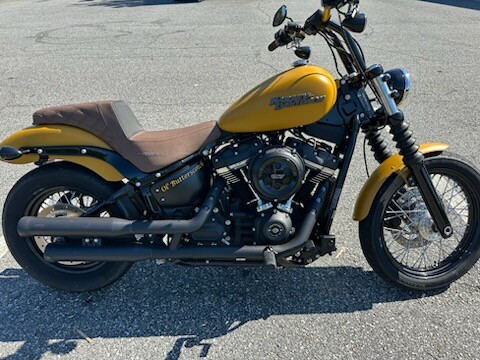 2019 Harley-Davidson® Street Bob® Rugged Gold Denim
