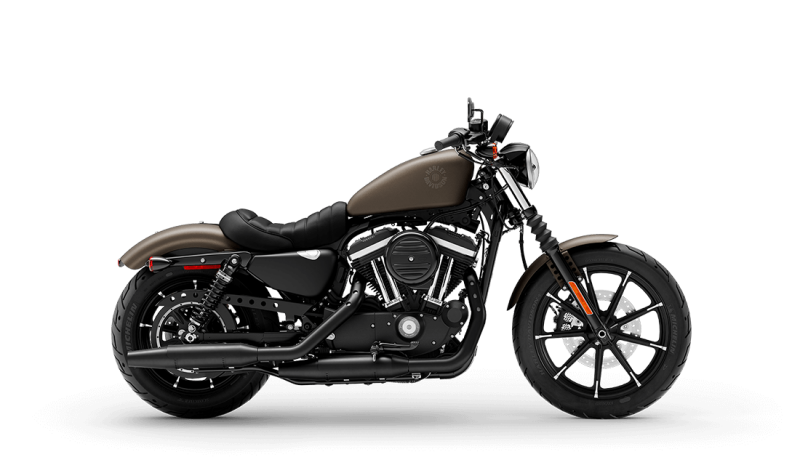 2021 Harley-Davidson® Iron 883™ River Rock Gray Denim
