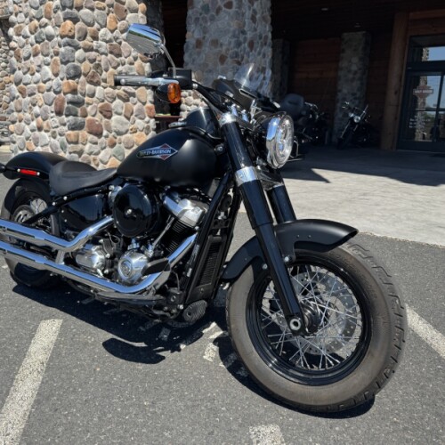 FLSL 2020 Softail Slim® thumb 3