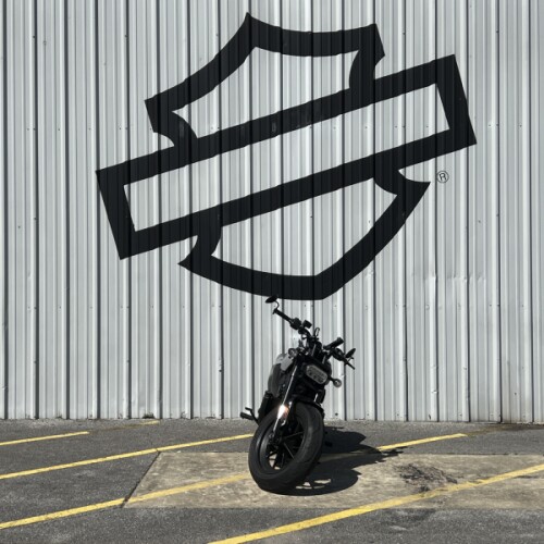 2025 Harley-Davidson® Sportster® S Billiard Gray thumb 3