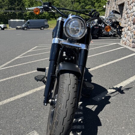 FLSL 2020 Softail Slim® thumb 2