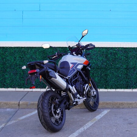 2025 Tiger 900 Rally Pro thumb 1