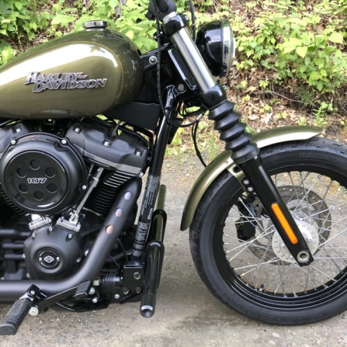 2018 Harley-Davidson® Street Bob® Olive Gold thumb 3