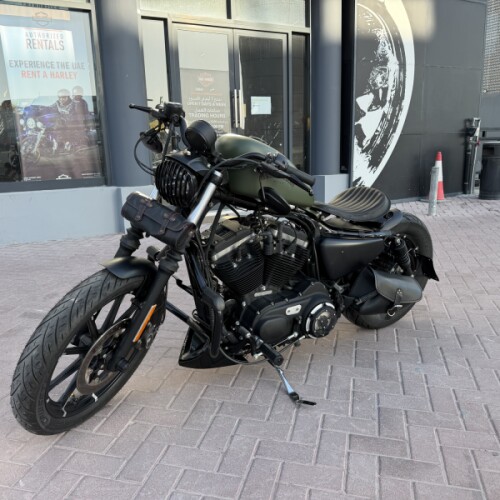 2018 Harley-Davidson® Iron 883™ thumb 1