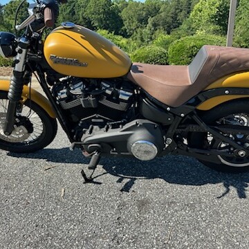 2019 Harley-Davidson® Street Bob® Rugged Gold Denim thumb 3