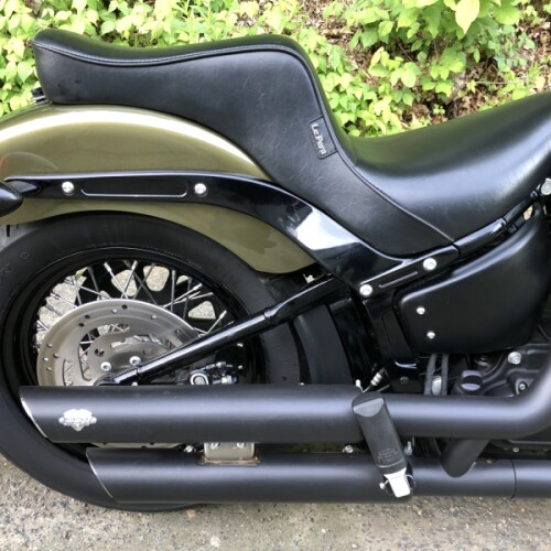 2018 Harley-Davidson® Street Bob® Olive Gold thumb 2
