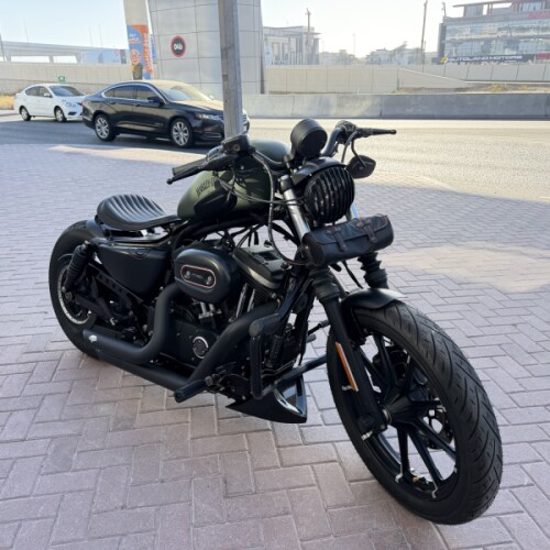 2018 Harley-Davidson® Iron 883™ thumb 2