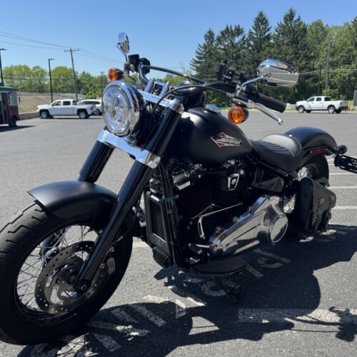 FLSL 2020 Softail Slim® thumb 1