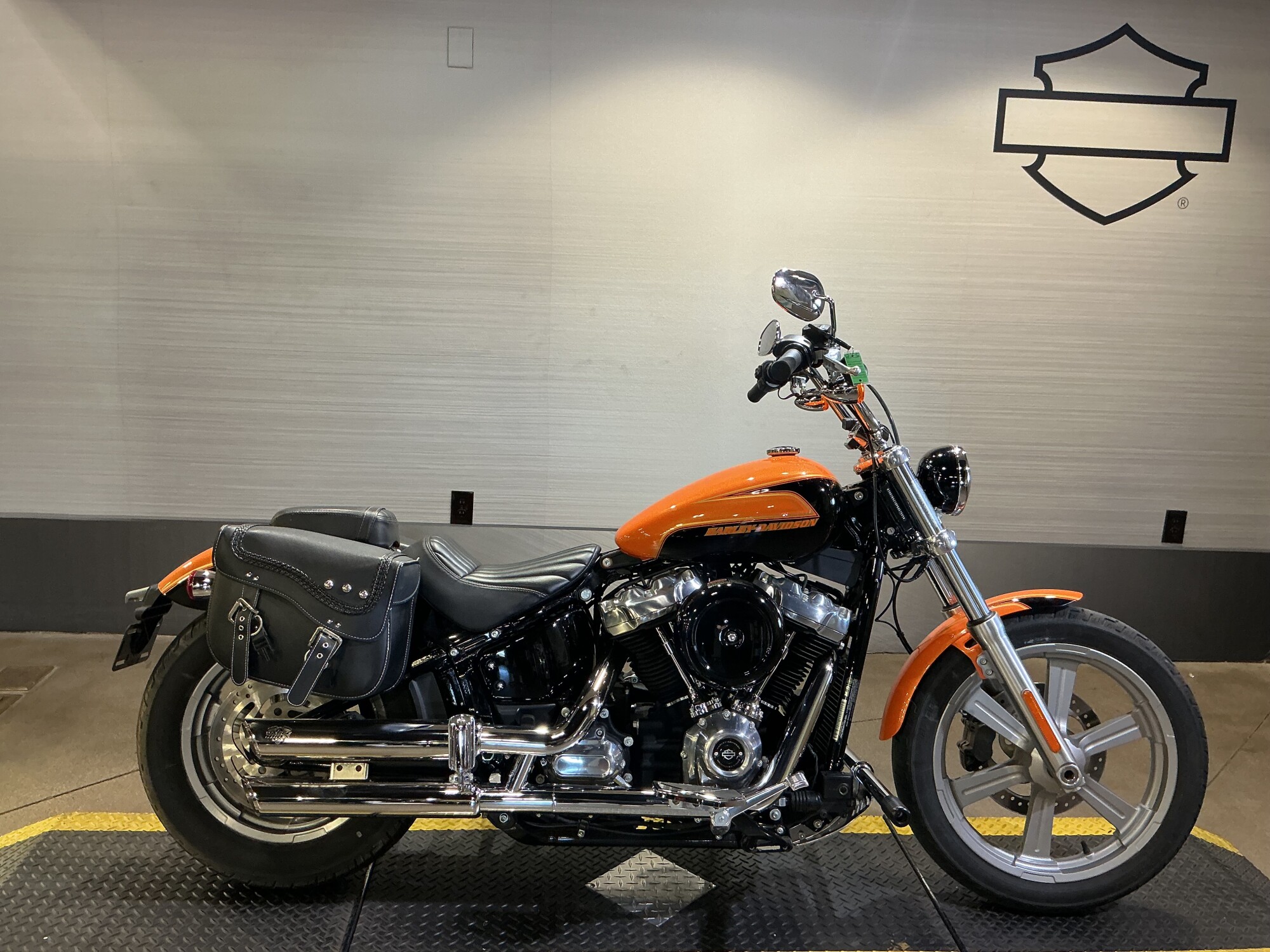 FXST 2023 Softail® Standard