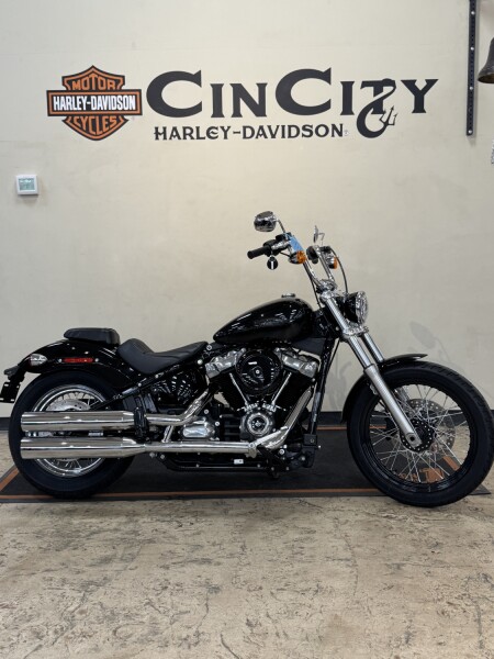 FXST 2020 Softail Standard®